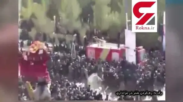 فیلم لحظه رم کردن شتر در آیین نخل برداری یزد