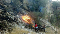 آتش سوزی 2 هکتار از اراضی جنگلی کلاریز طزره را خاکستر کرد