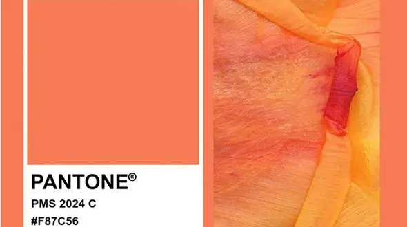 رنگ سال ۲۰۲۴ انتخاب شد 
