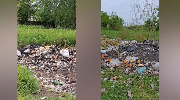 شمال ایران در حال خفه شدن؛ زباله تا گردن! / خطه شمالی در آستانه انفجار زیست‌محیطی/ وزارت بهداشت کجاست؟ + فیلم