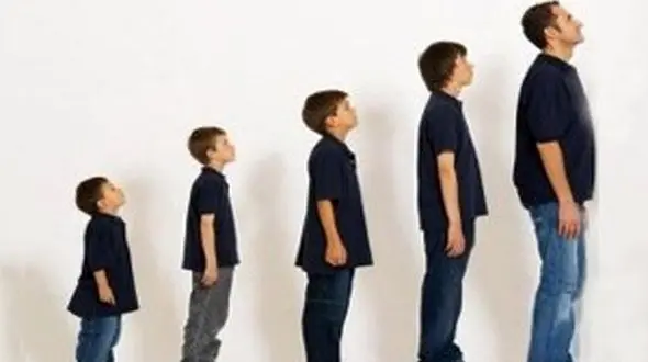 فاکتورهای قد بلندی فاش شد