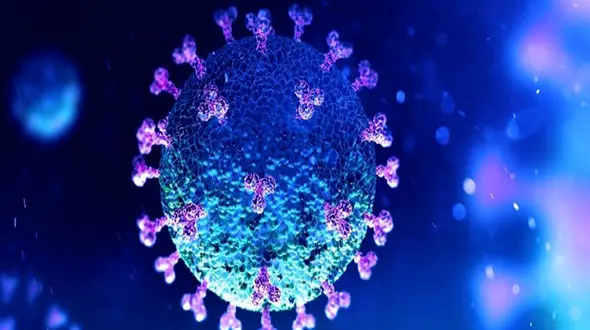 تولد یک سالگی کرونا!