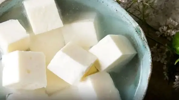 چگونه پنیر محلی را تازه نگه داریم؟ راهکارهای نگهداری در یخچال