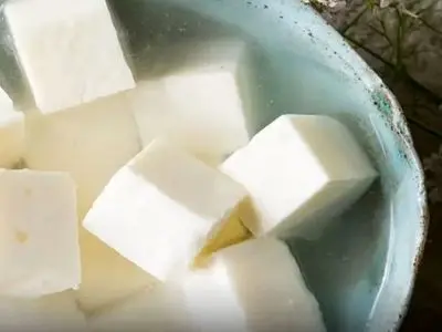 چگونه پنیر محلی را تازه نگه داریم؟ راهکارهای نگهداری در یخچال