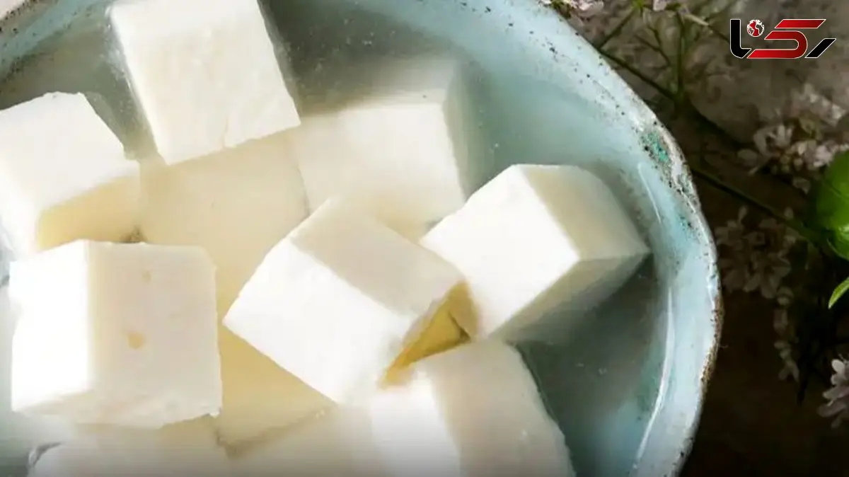 چگونه پنیر محلی را تازه نگه داریم؟ راهکارهای نگهداری در یخچال