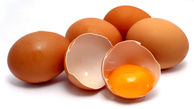 تفاوت های تخم مرغ‌های قهوه‌ای با سفید چیست؟