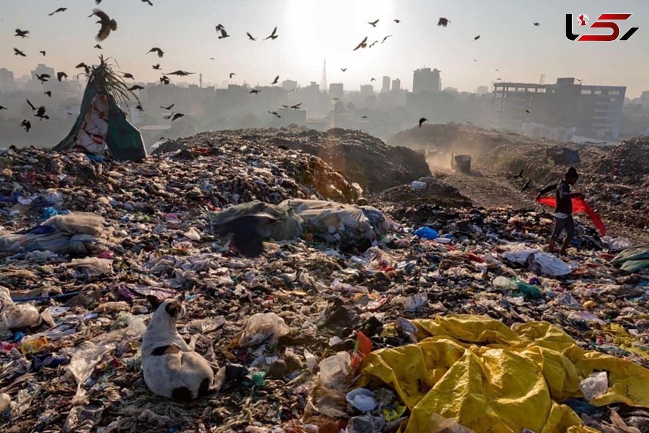 تولید روزانه ۸ هزار تن زباله در تهران/ پسماند بهداشتی مراکز درمانی خرد بی‌خطرسازی نمی‌شود