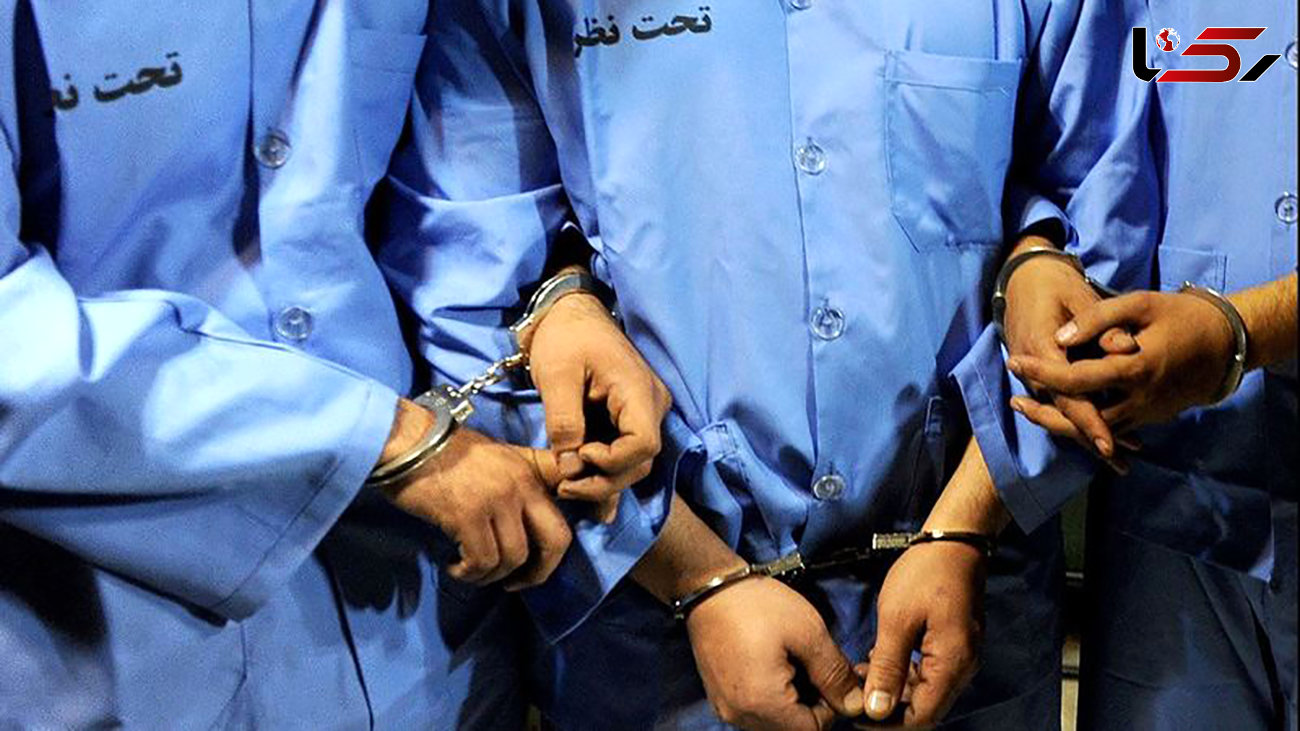 دستگیری ۲۲ سارق حرفه‌ای در زنجان