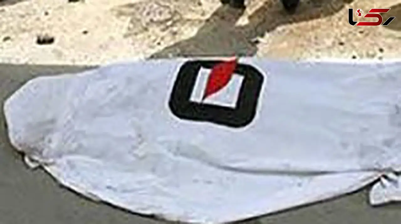 برق جوان فسایی را خشک کرد