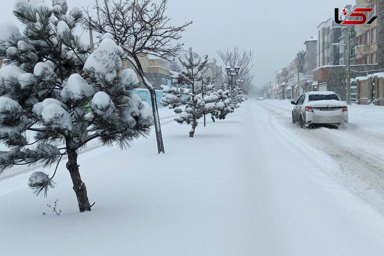 هشدار بارش برف / برف این  ۴ شهرستان و  روستا را بلعید