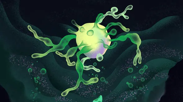 چگونه این سلول‌ های شگفت‌ انگیز ممکن است منشأ حیات پیچیده را توضیح دهند؟