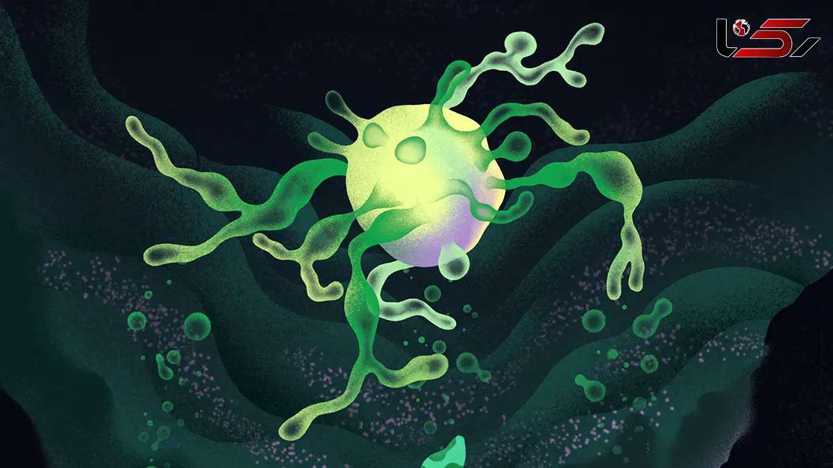 چگونه این سلول‌ های شگفت‌ انگیز ممکن است منشأ حیات پیچیده را توضیح دهند؟