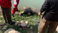 عکس جنازه های 2 جوان 12 روز بعد از گم شدن / در گیلان رخ داد