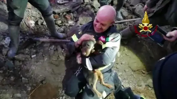 فیلم لحظه نجات 2 سگ گرفتار در لانه روباه مکار / فریب خوردند + عکس