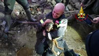 فیلم لحظه نجات 2 سگ گرفتار در لانه روباه مکار / فریب خوردند + عکس