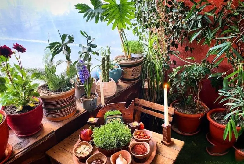 شبنم قربانی