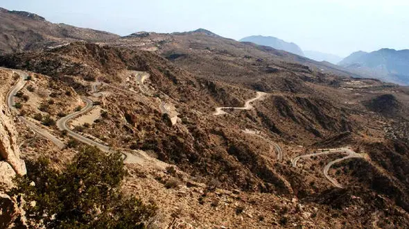 فیلم وحشت آور از زلزله بندرعباس از نمای نزدیک / چوپان جوان محو شد