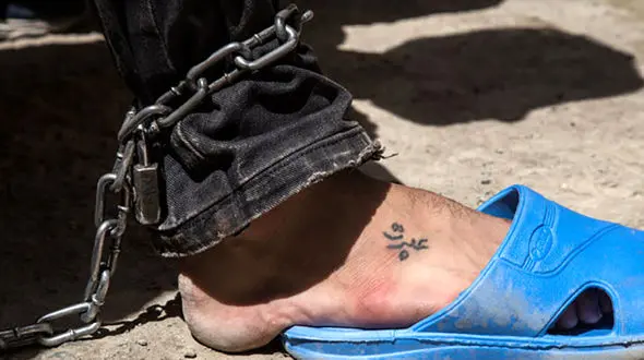 عربده کش تهرانپارس دستگیر شد