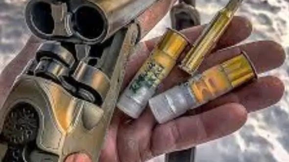 قاچاقچیان اسلحه با دیدن مرزبانان پا‌به فرار گذاشتند!/ محموله سلاح در مرز ارومیه جا‌ماند