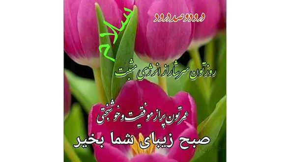 فال ابجد امروز / 17 شهریور + فیلم