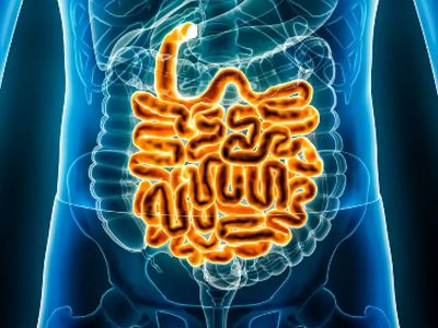 تغذیه‌ تکراری؛ قاتل خاموش سیستم گوارشی شما؟