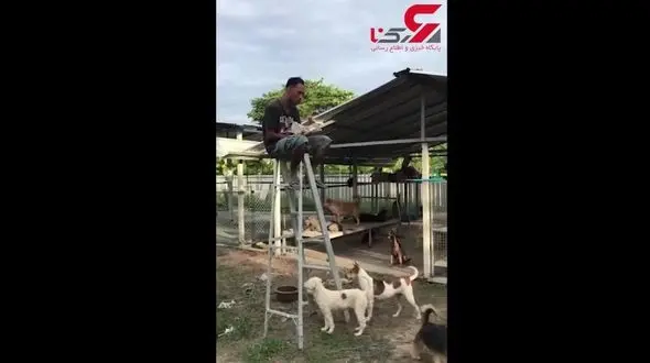 اقدام وحشیانه مرد روانی با یک سگ گرسنه+ فیلم 