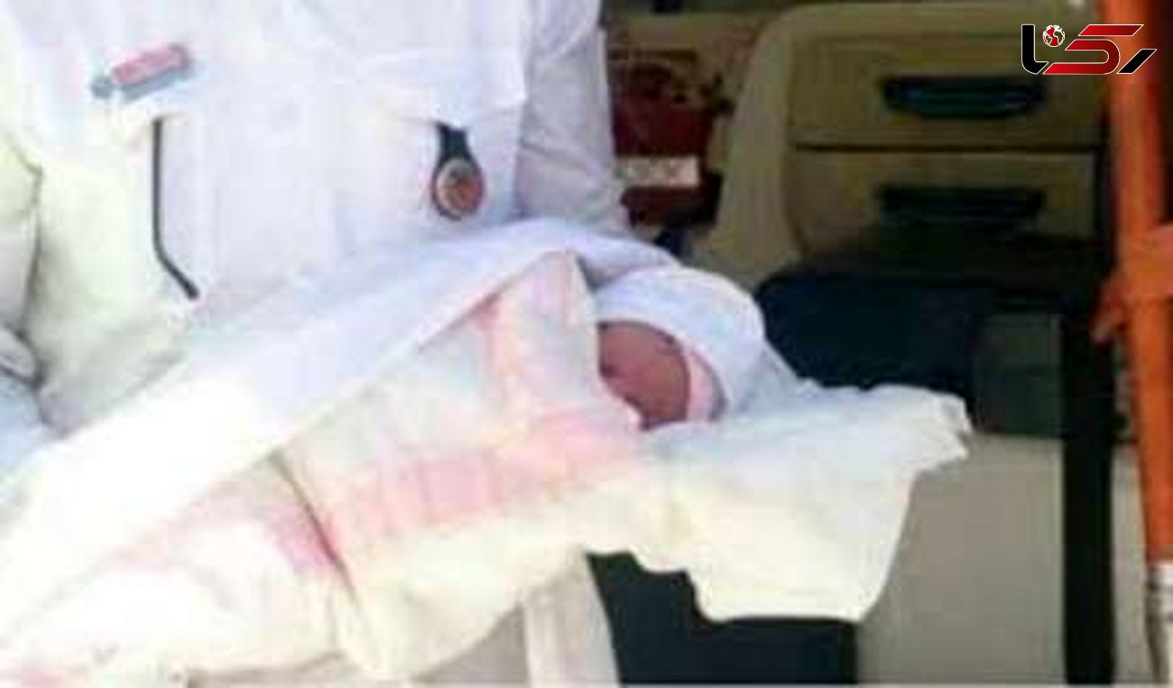 تولد نوزاد برفی در املش+عکس