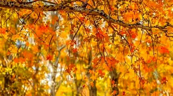 فال ابجد 21 مهر 