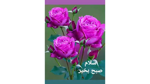 فال ابجد امروز / 10 خرداد + فیلم