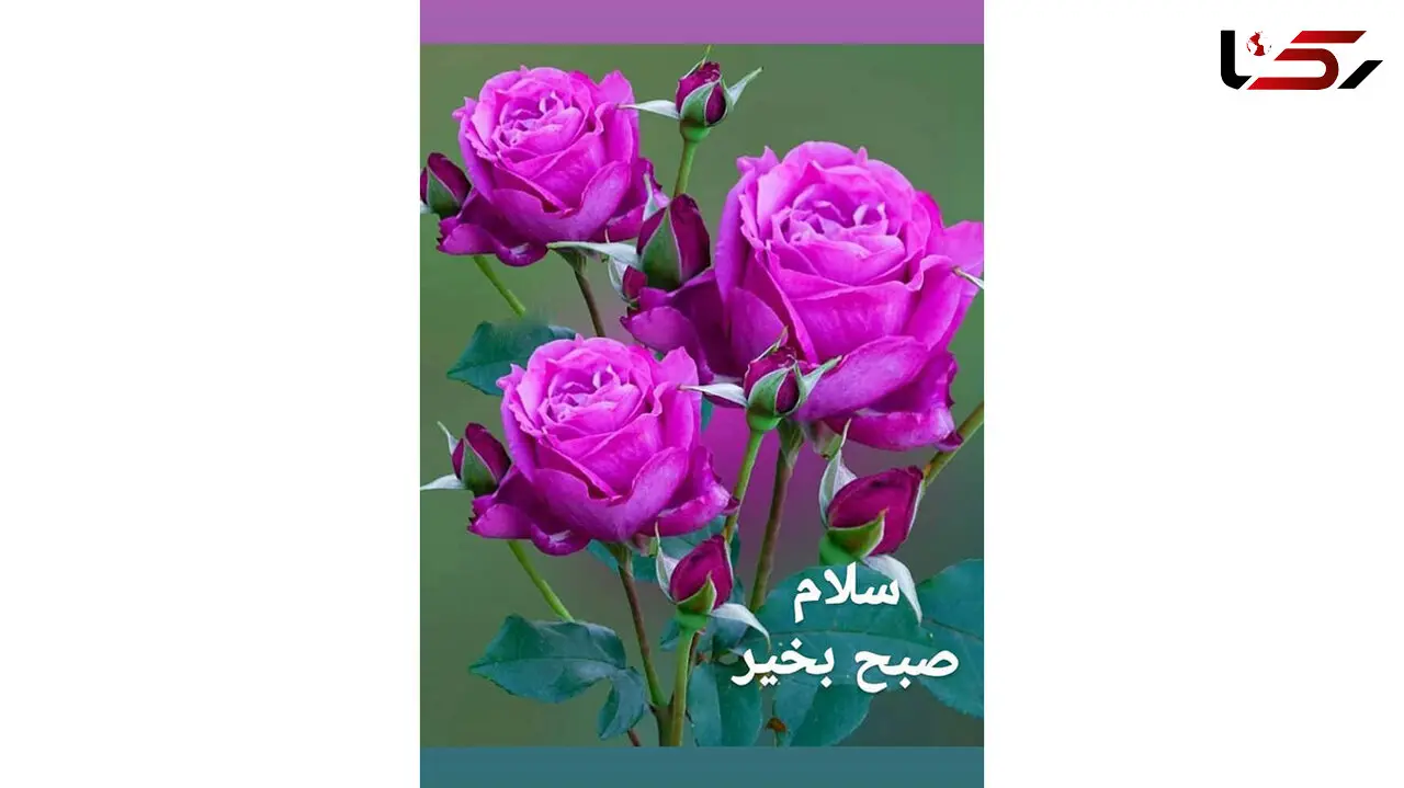 فال ابجد امروز / 10 خرداد + فیلم