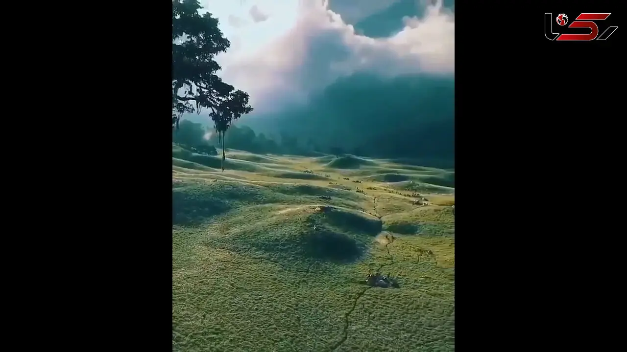 زندگی در دل طبیعت + فیلم