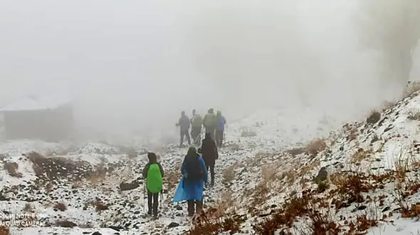 زن جوان بیرجندی از مرگ بازگشت / 3 ساعت عملیات ویژه برای زنده ماندن