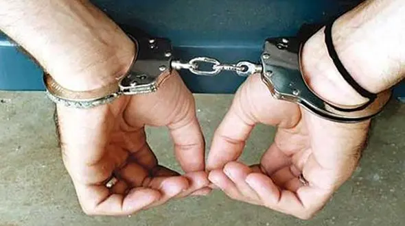 کفتار کرونایی اردبیل تحویل قانون شد