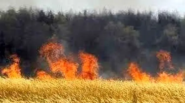 فاجعه آتشین در کردستان ! / خیلی ها بدبخت شدند !