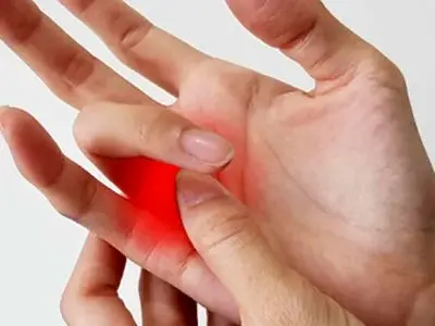 نقش پری بیوتیک‌ ها در تسکین درد آرتروز