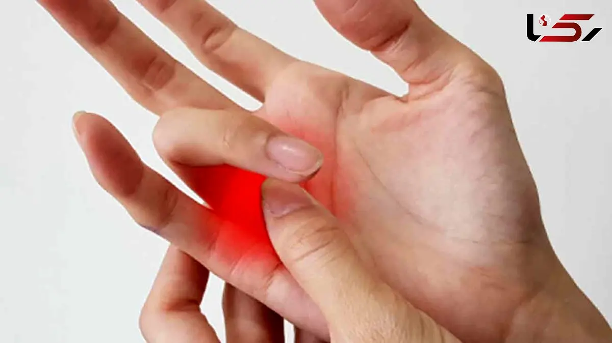 نقش پری بیوتیک‌ ها در تسکین درد آرتروز