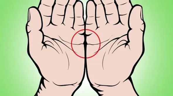 فال بینی : خطوط کف دست سرنوشت شما را نشان می دهد !