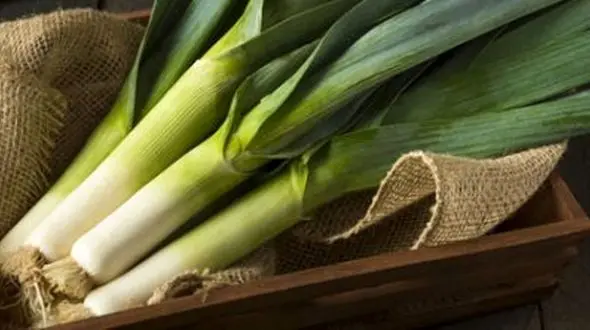 پیشگیری از بیماری آب مروارید چشم ها با یک سبزی کوهی