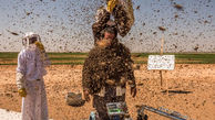 دفن یک مرد زیر 100 کیلو زنبور عسل! + عکس 