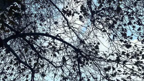 فال روزانه شخصی / 6 بهمن ماه + فیلم