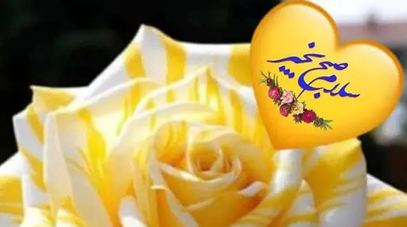 فال و طالع بینی روزانه 14 خرداد 