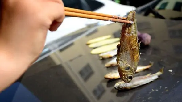 واکنش جالب زن جوان به گرمای هوا! +تصاویر دیدنی