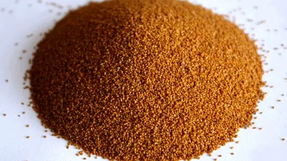 خاکشیر کبد چرب را درمان می کند