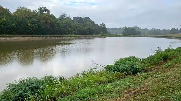 فال و طالع بینی امروز 29 شهریور + فیلم 