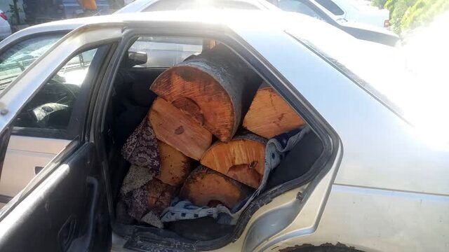 قاچاقچیان چوب پس از آسیب به خودروی منابع طبیعی آمل، متواری شدند