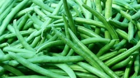 خواص شگفت انگیز لوبیا سبز 