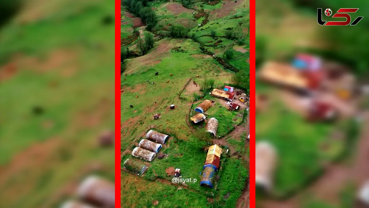 فیلم زیبایی‌های دشت لاتون در آستارا گیلان