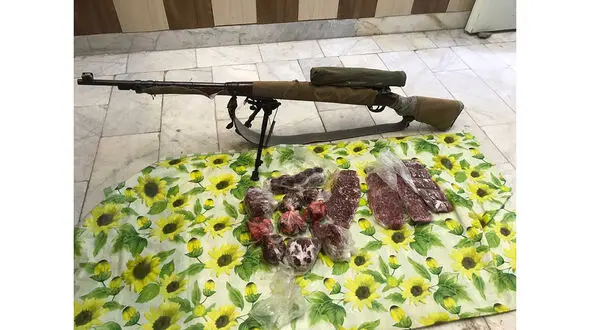 کشف گوشت قوچ وحشی در خانه یک شکارچی در کرمان