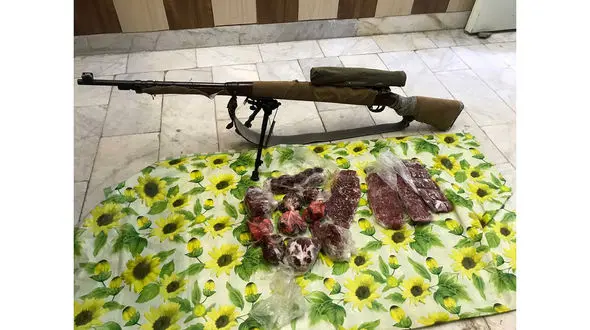 کشف گوشت قوچ وحشی در خانه یک شکارچی در کرمان