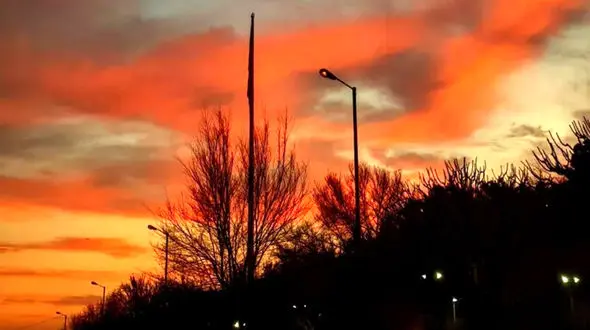 فال و طالع امروز 17 آذر + فیلم